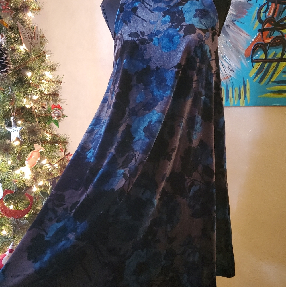 Gorgeous velvet swing dress